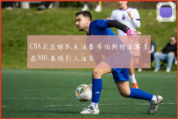 CBA北区球队关注泰韦伯斯特本赛季在NBL表现引人注目